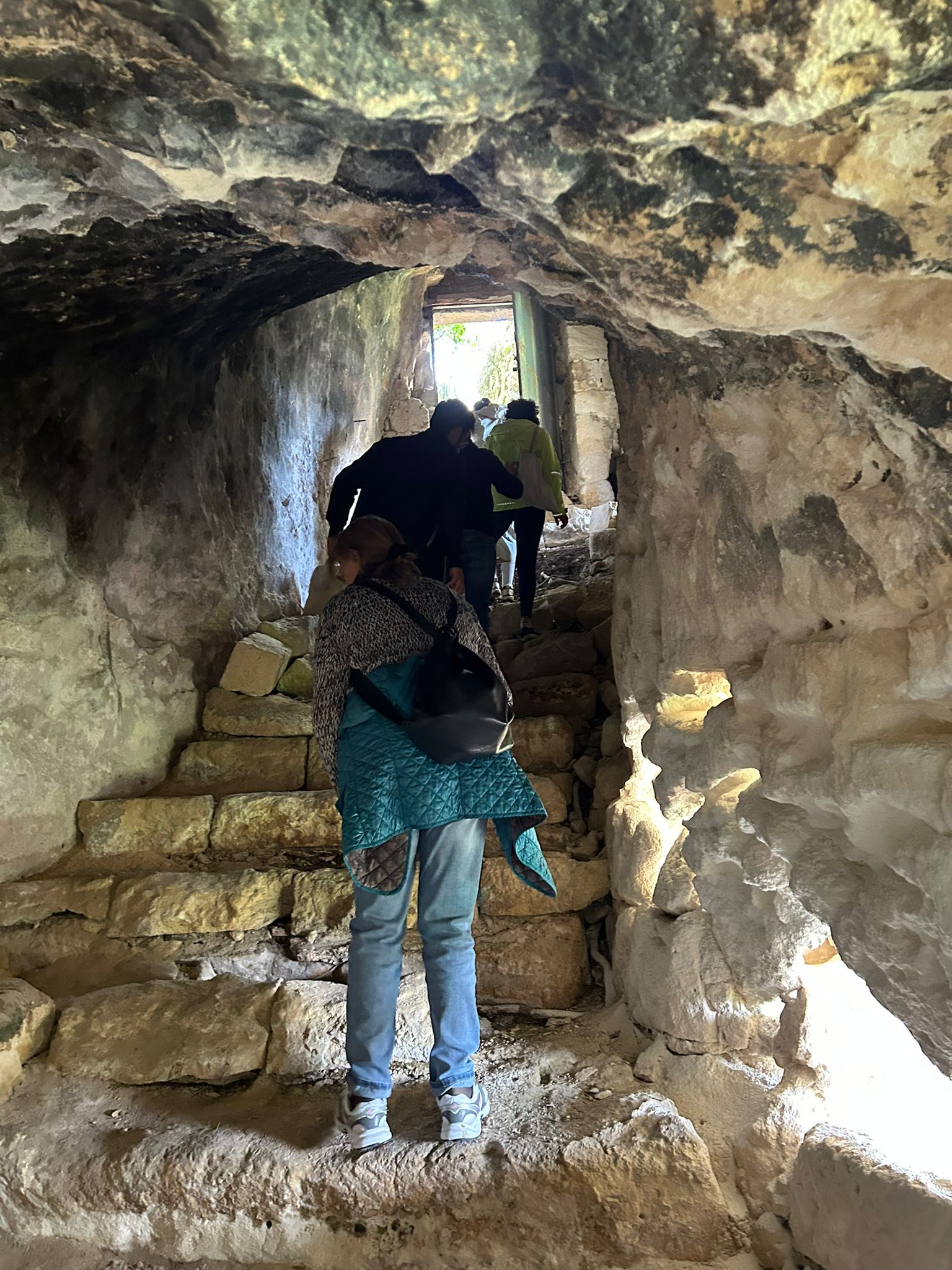 Slow Food – The Temples of Olive Oil – Patriarch Olive Trees with Francesco Linzalone - Image 16