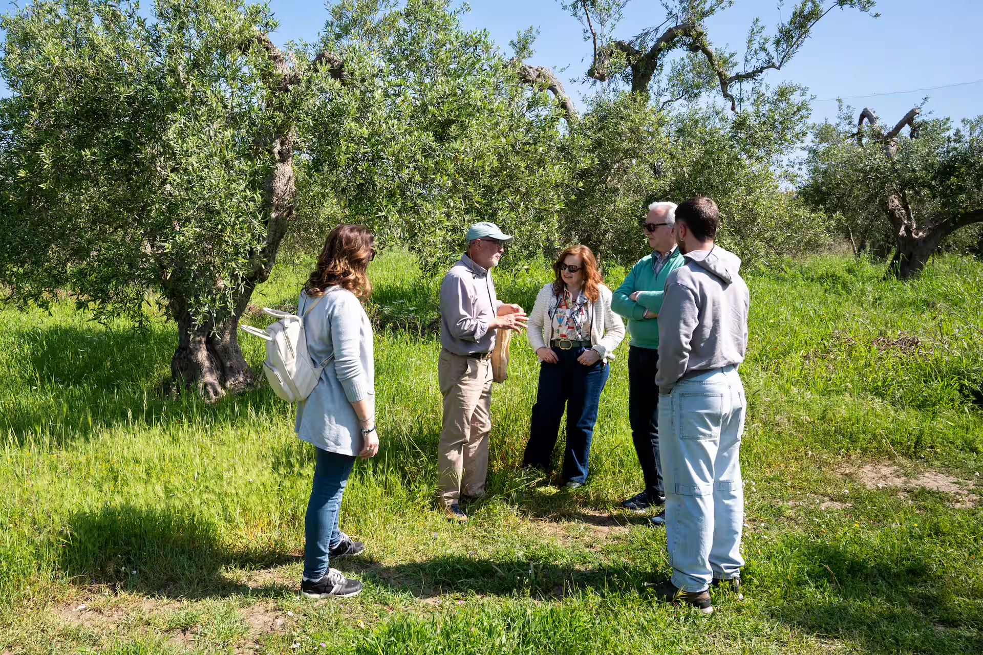 Slow Food – The Temples of Olive Oil – Patriarch Olive Trees with Francesco Linzalone - Image 5