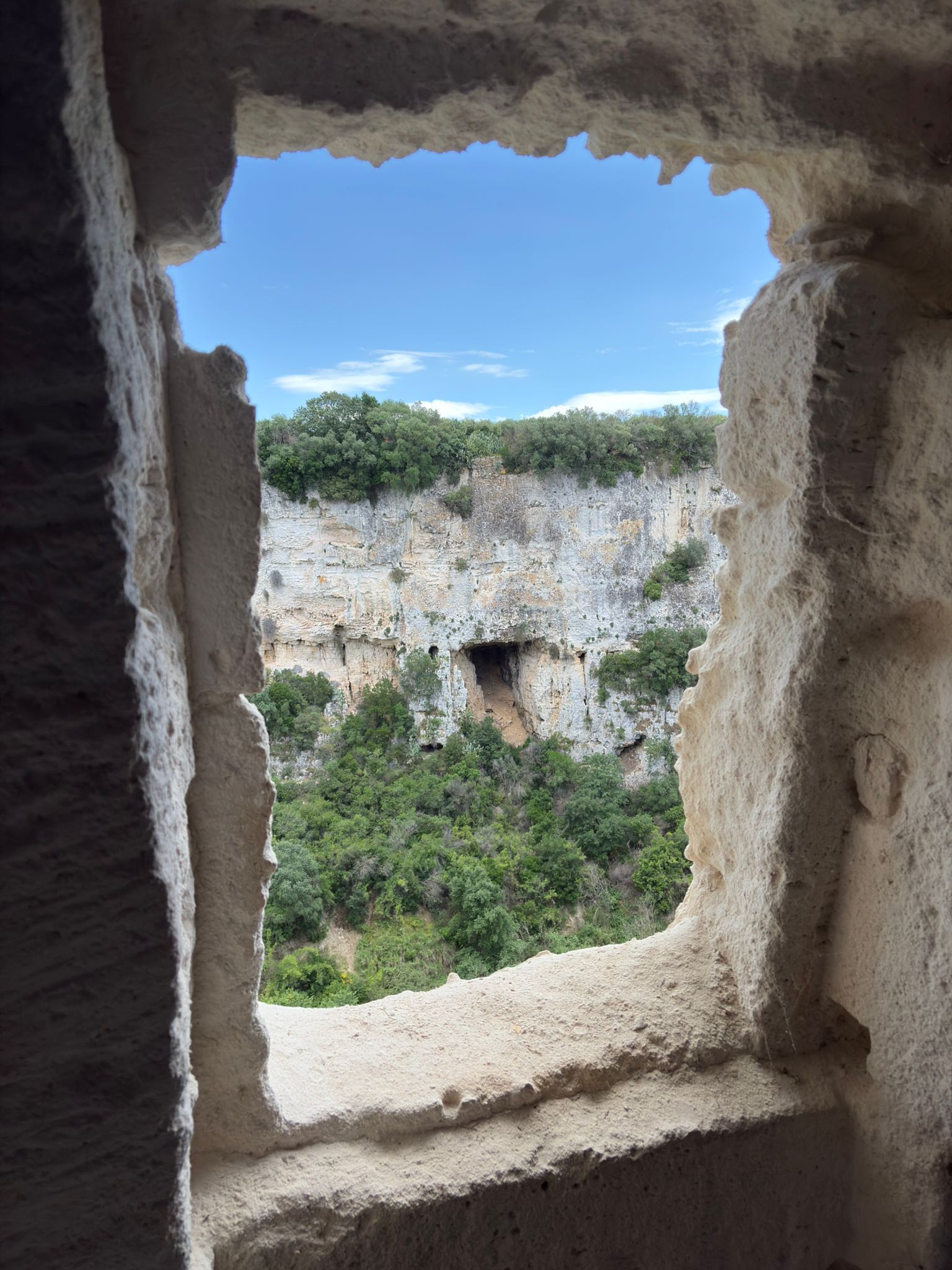 Slow Food – The Temples of Olive Oil – Patriarch Olive Trees with Francesco Linzalone - Image 19