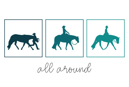 All Around - Teal