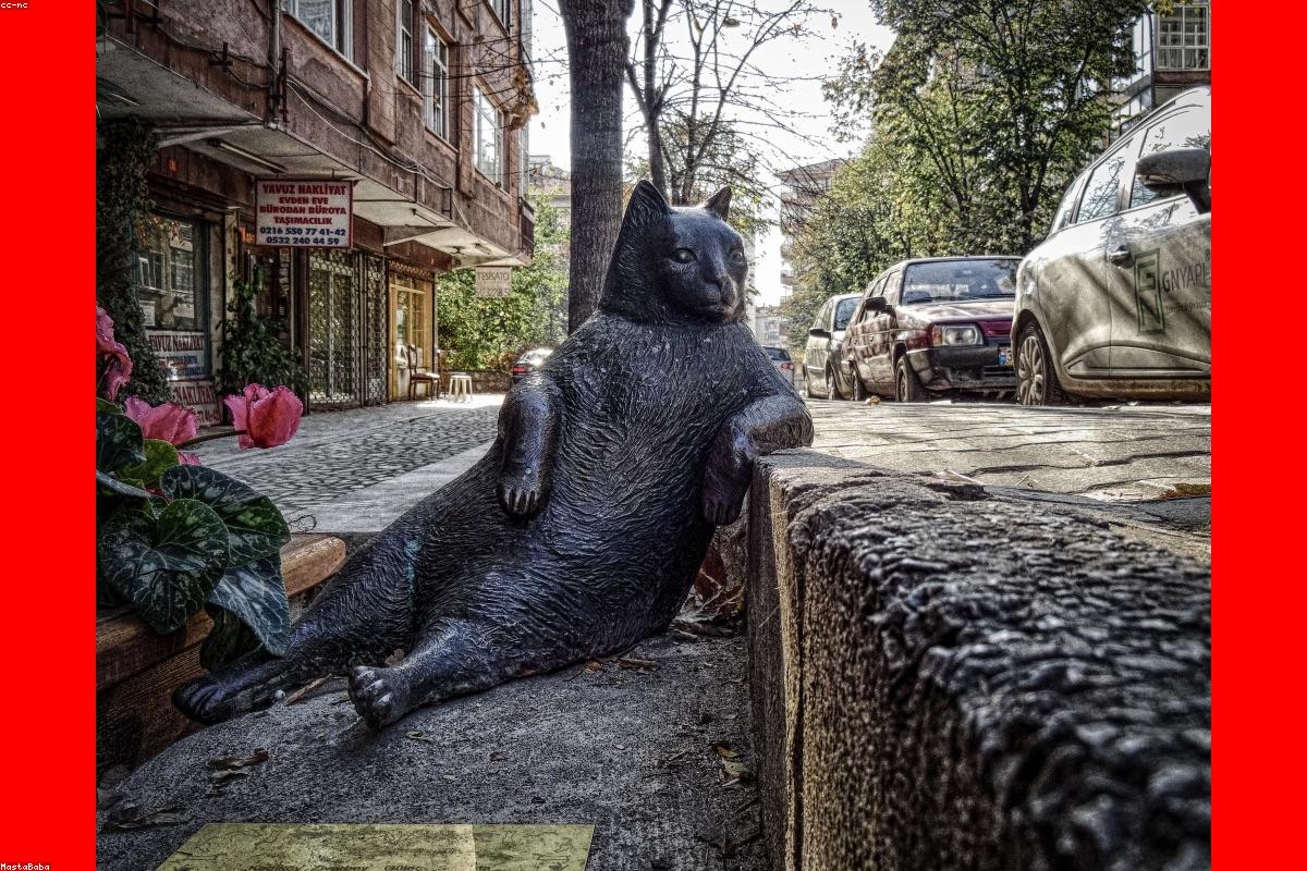 Beyond the Resume: How to Navigate the 2026 Campus Recruitment Landscape