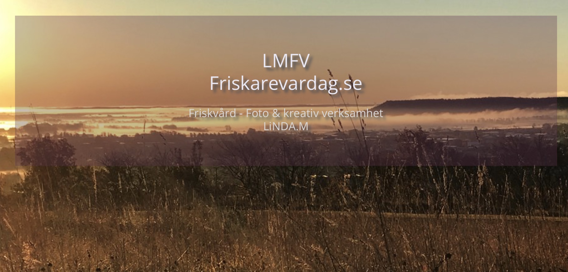 LMFV-Friskarevardag.se