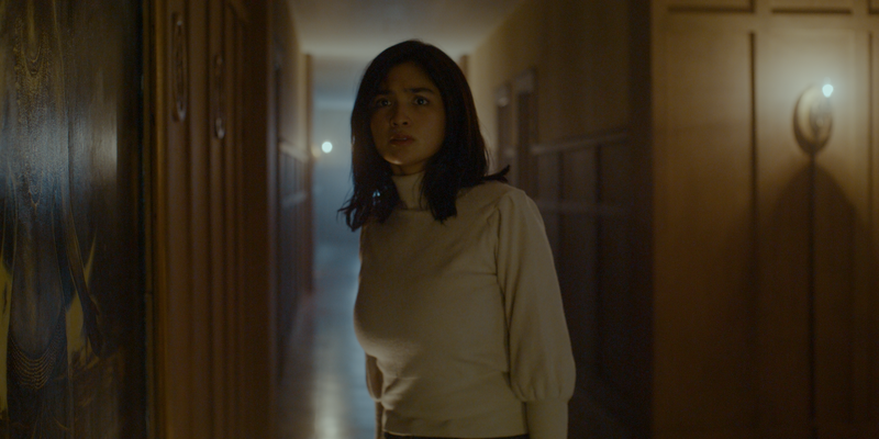 © 2025 Evolve Studios, Studio Viva, Viva Communications inc