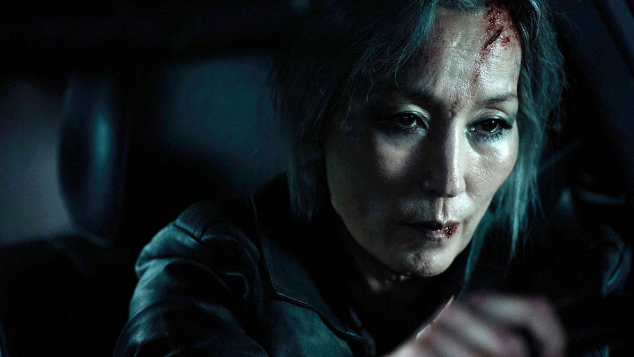 Courtesy of Well Go USA 