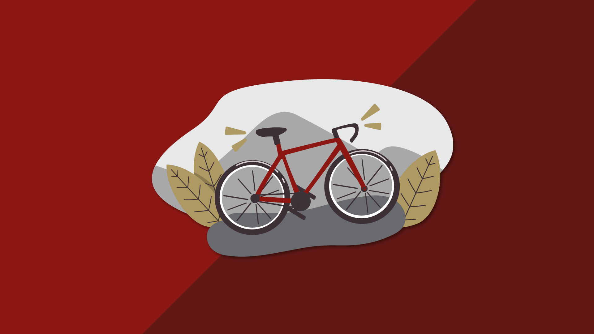 Cycle to Work Scheme