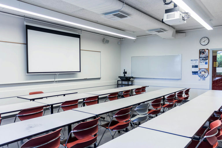 BUCH B219 - Image Gallery 2