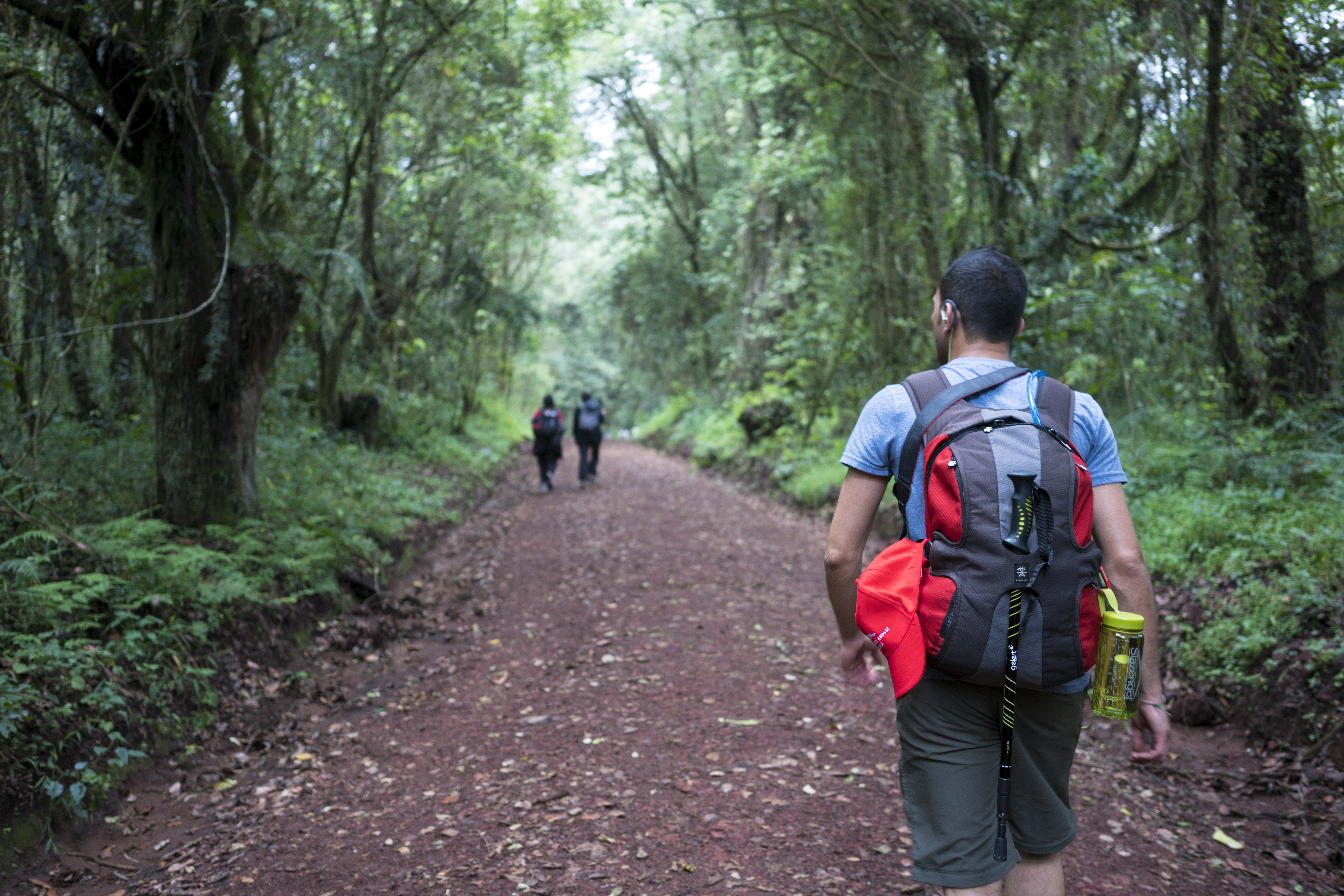 Climb Kilimanjaro - Photo 4