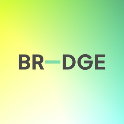 Institution brand logo - BR-DGE