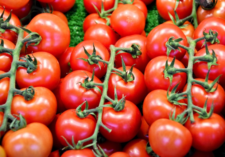 Image of Tomatoes