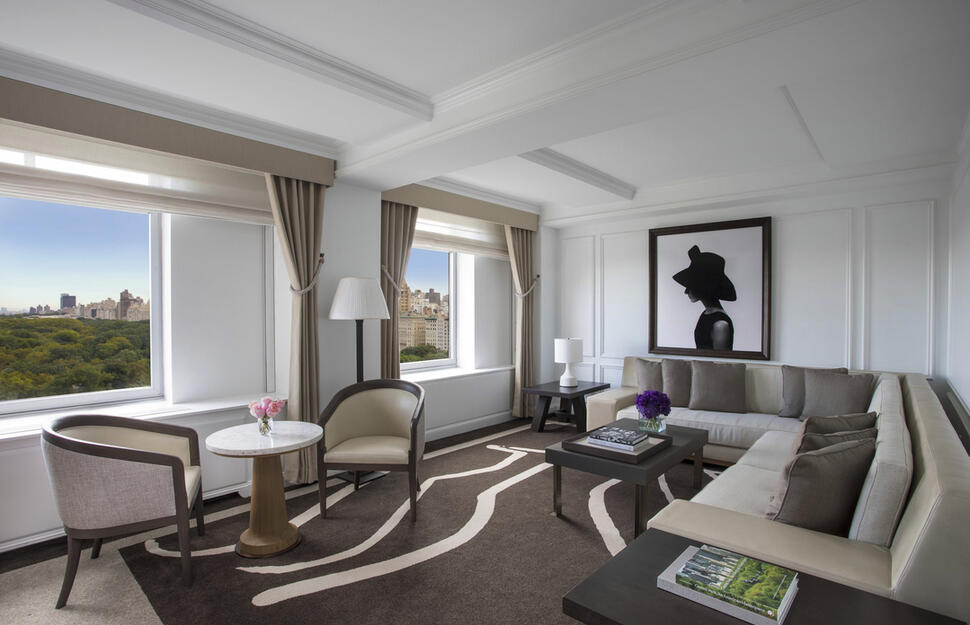 The-Ritz-Carlton-New-York-Central-Park-8.jpg