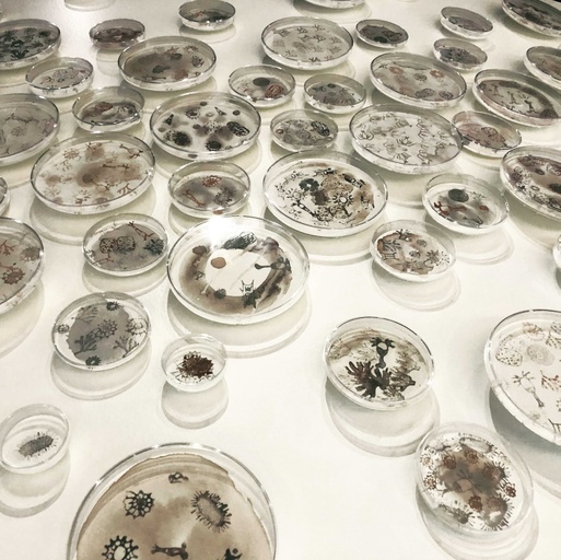 Detail number 1 of Bio Ink Plankton Cloud – Tech Interactive