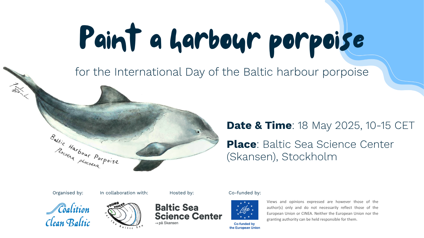 International Day of the Baltic harbour porpoise - CCB´s event at Skansen