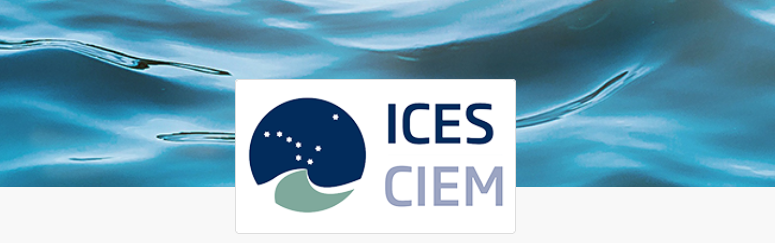 ICES meeting WKWIND 2024
