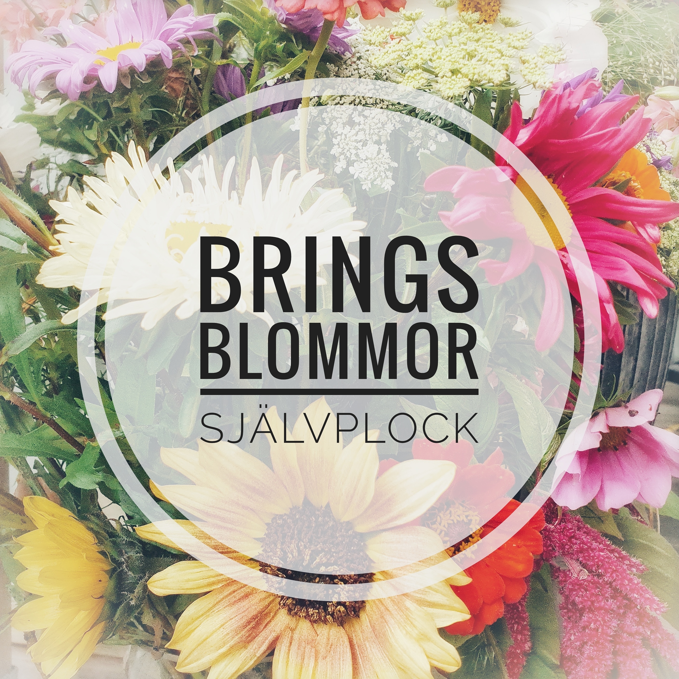 Brings Blommor