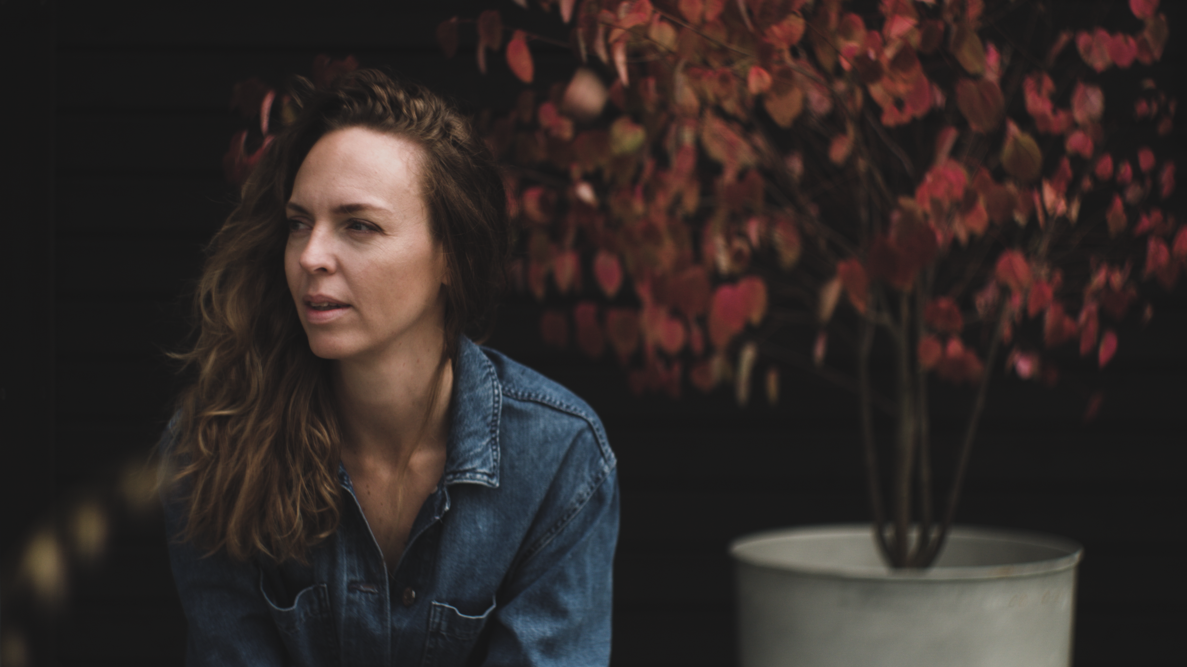 Sv&auml;na tr&auml;dg&aring;rdsdesign