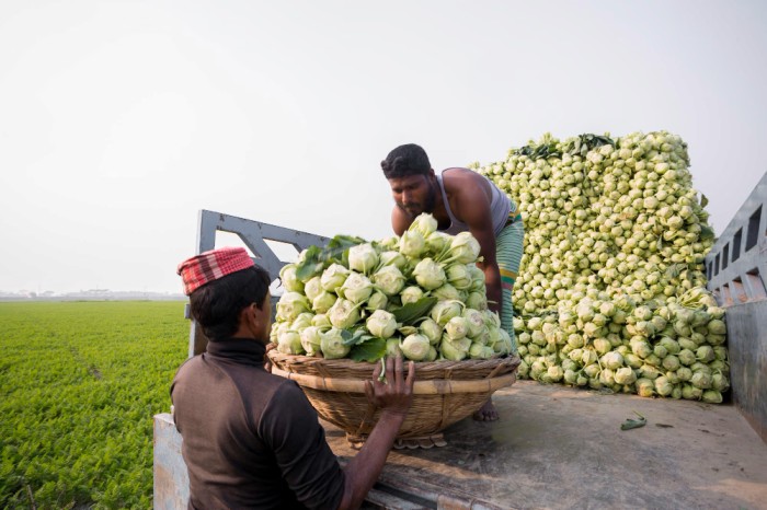 What Can You Sell on Farmnadu? (List of Popular Farm Products & Animals)