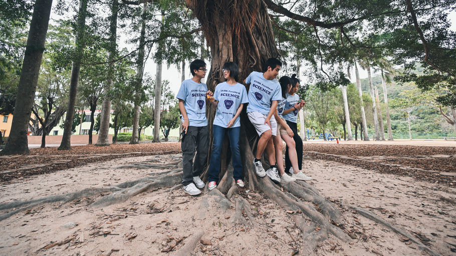 ©2023 Sonatina Film Limited All Rights Reserved