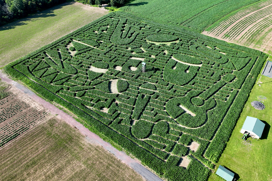 A Symphony of Adventure in Saylorsburg