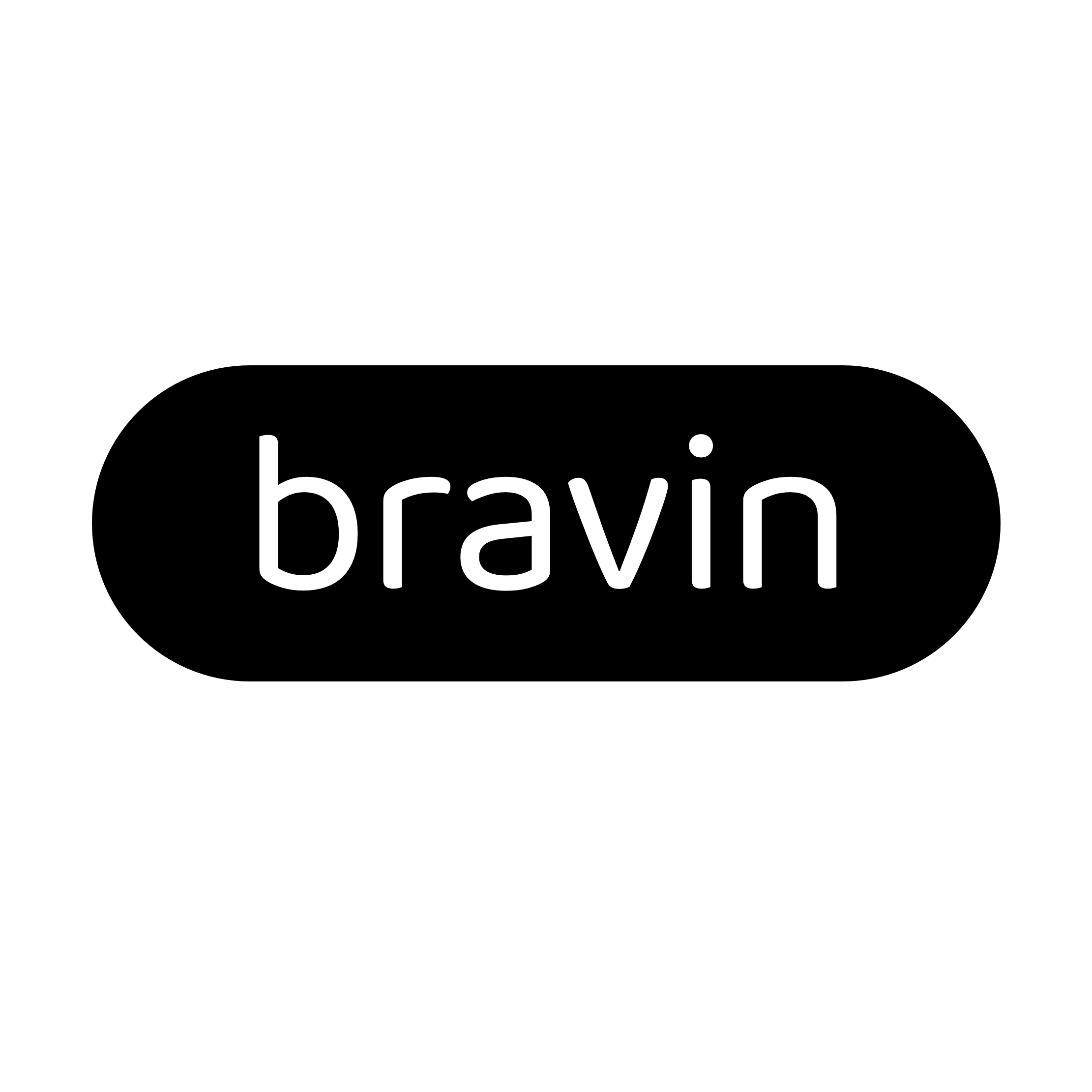 BravinAI