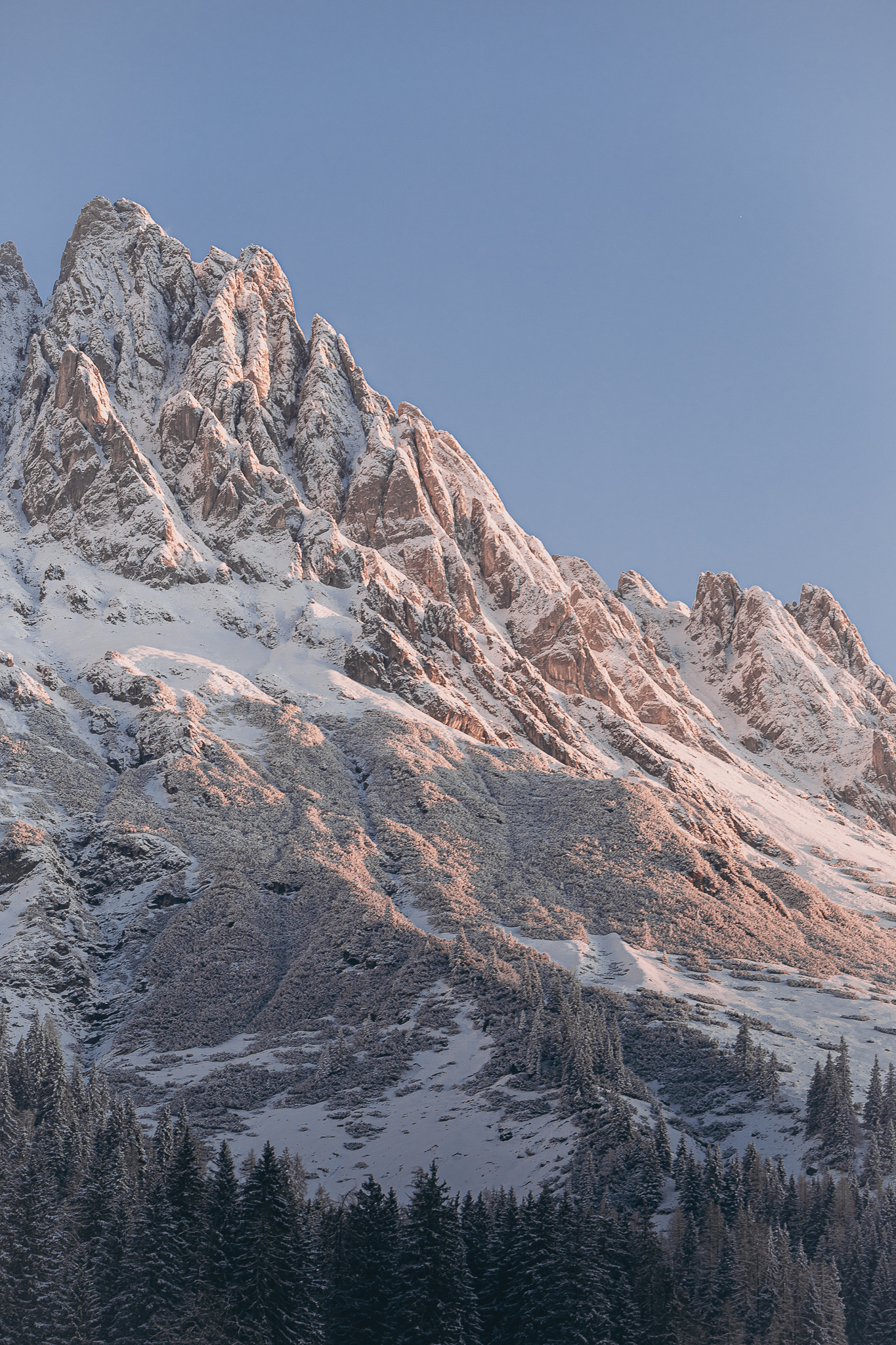 stieg’nhaus gallery 2