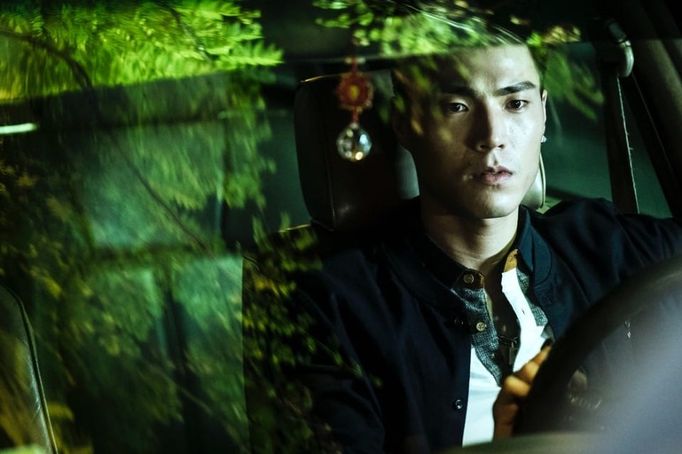 Courtesy of Swallow Wings Films