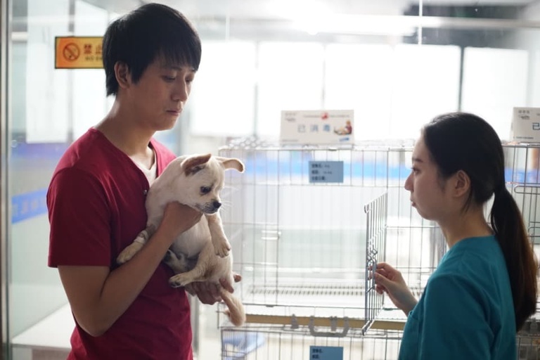 Courtesy of HKIFF/Hong Kong International Film Festival