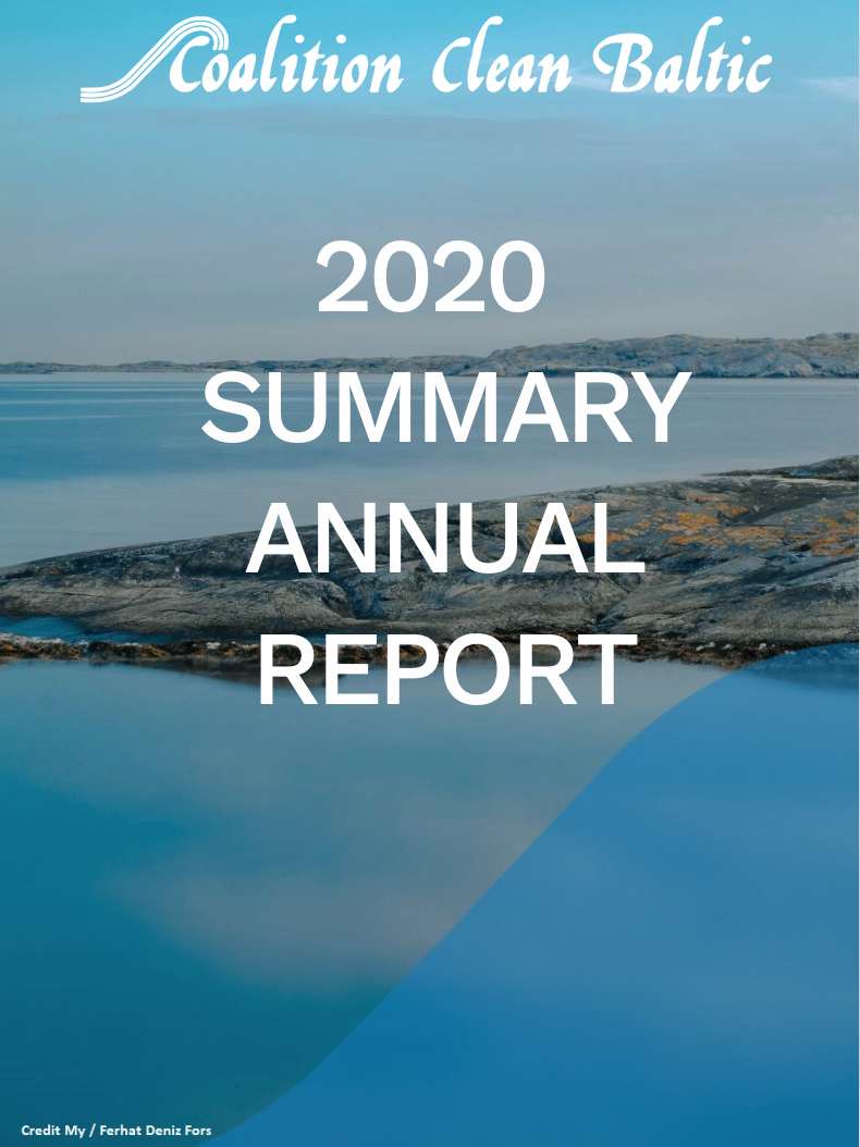 CCB Summary Annual Report 2020
