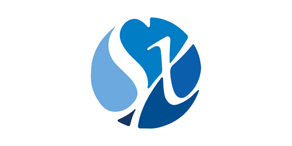 SX Business Services Inc