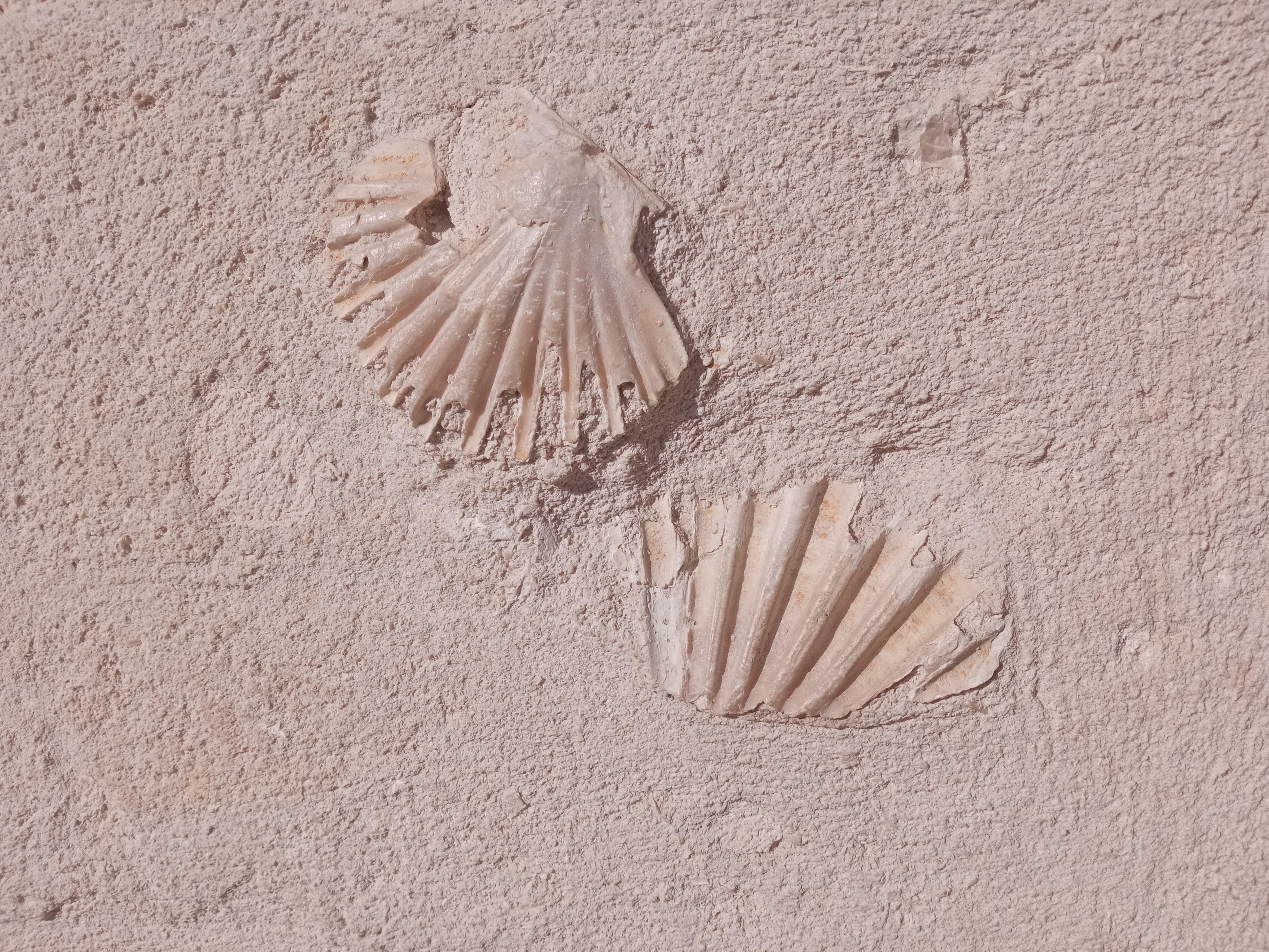 Tour Guidato dei Sassi con Amy Ann Weideman - Image 6