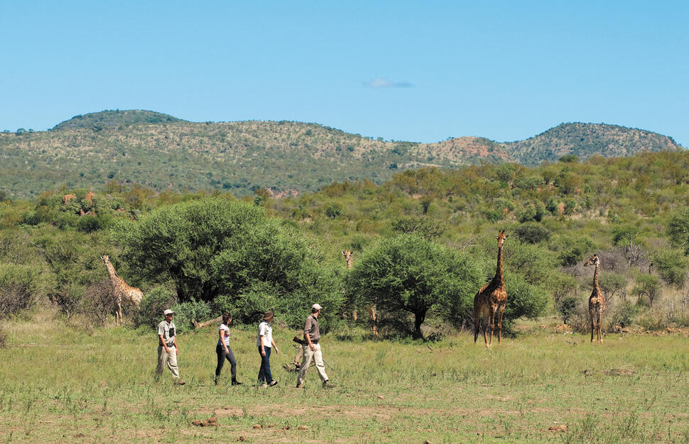Madikwe-Safari-Lodge-4.jpg