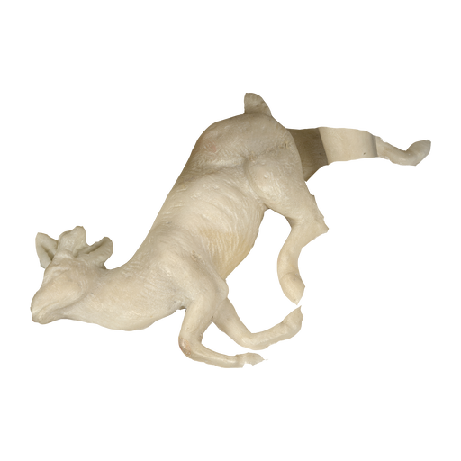 Fragment from Old Arrow Maker