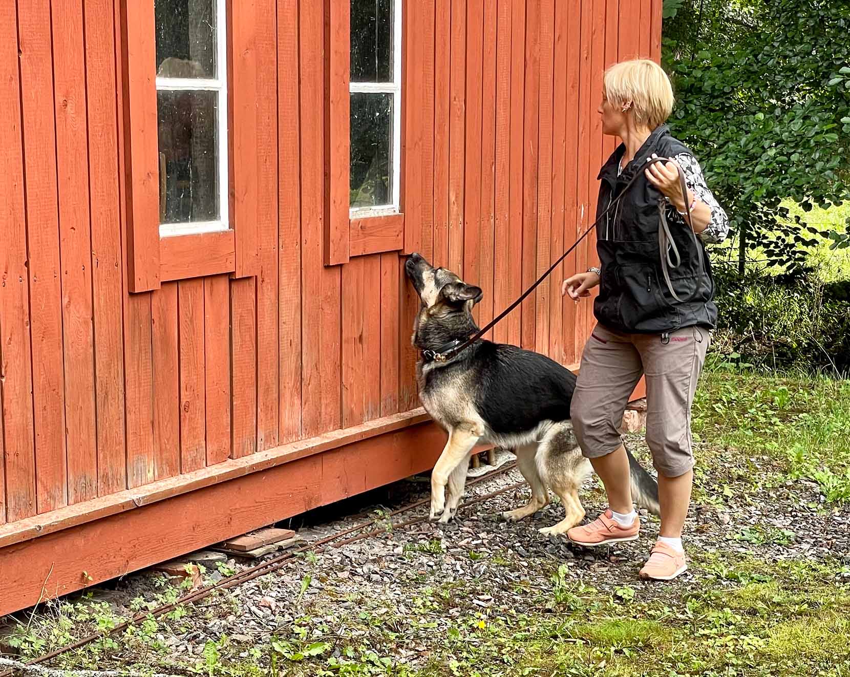 Nybörjarkurs SBK Specialsök (Röd kong)