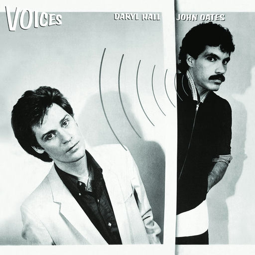 Artwork for Voices
