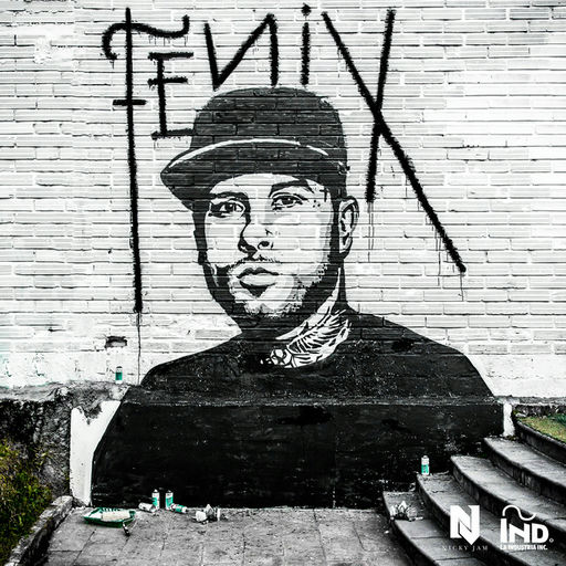 Artwork for Fénix