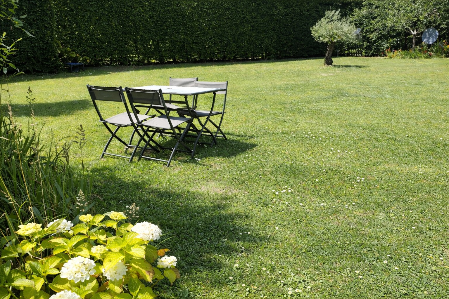 Le Bout des Dunes - photo 2