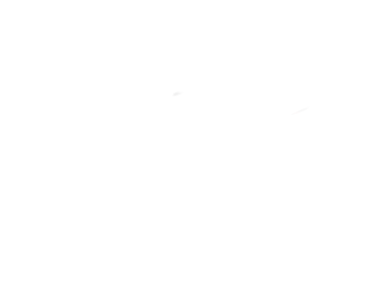 Animation Art Insurance