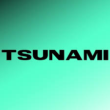 Prestation de Parking Larosa pour TSUNAMI-2024-7