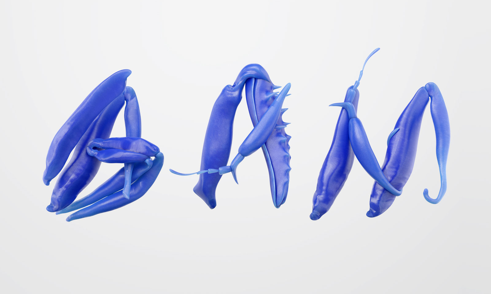 Prestation de Ventousage  pour BAM-2025-4