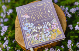 three banners copy copy