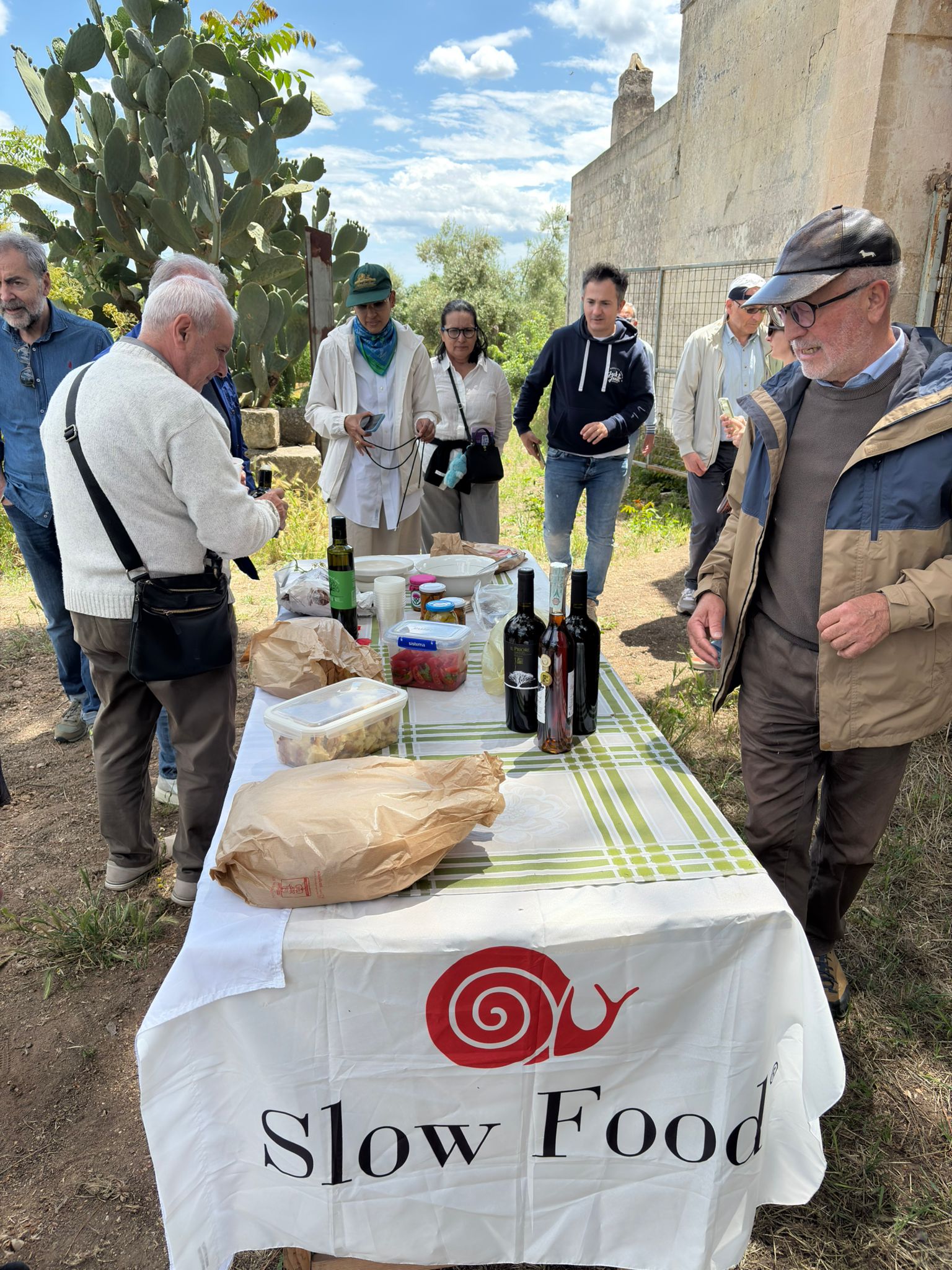 Slow Food – Los templos del aceite – Olivos Patriarcas con Francesco Linzalone - Image 18