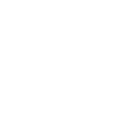 Forte Violin Academy Logo