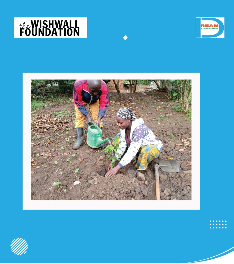 Planting for the restoration of landscapes in Rwenzori mountains