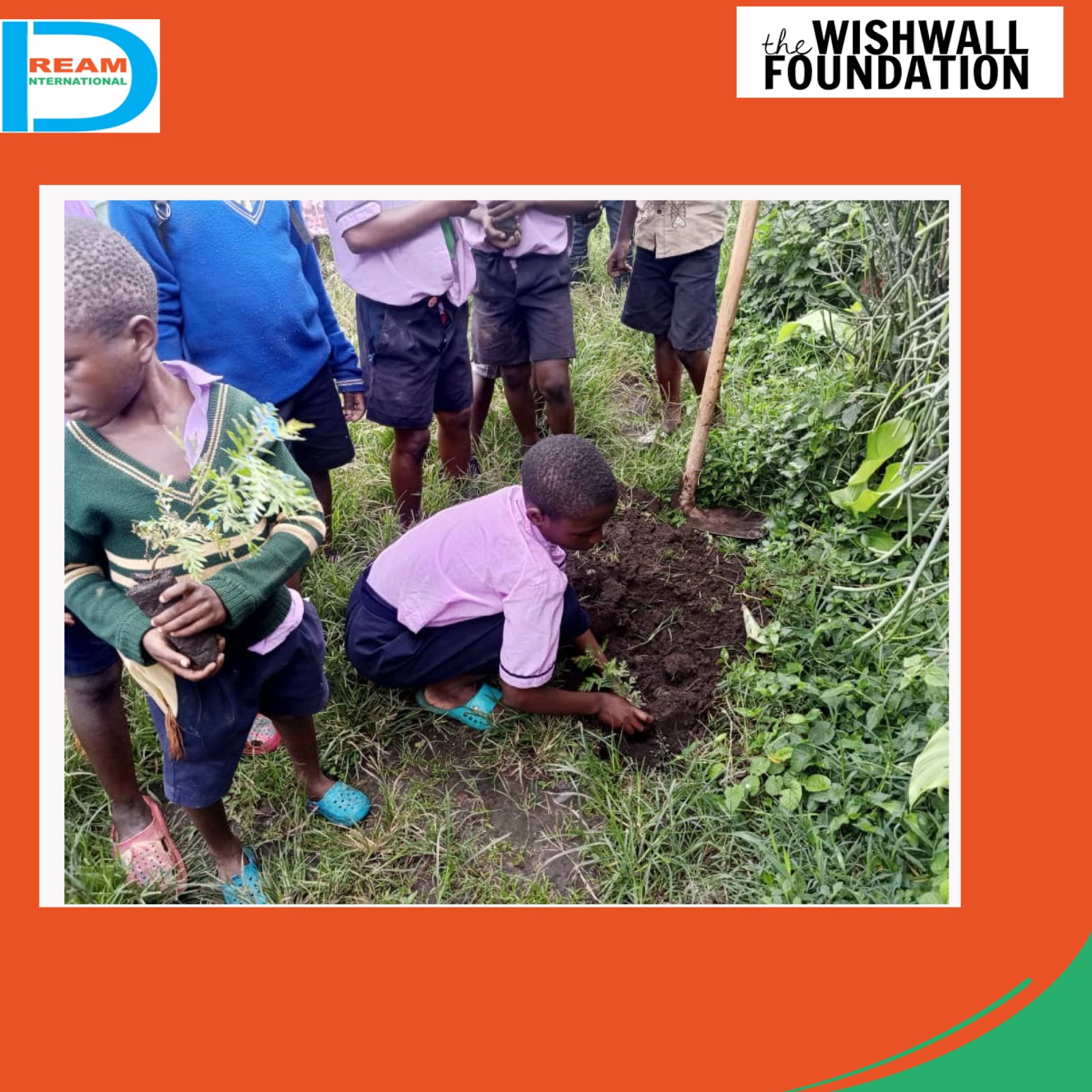 planting for biodiversity of landscapes in Rwenzori mountains