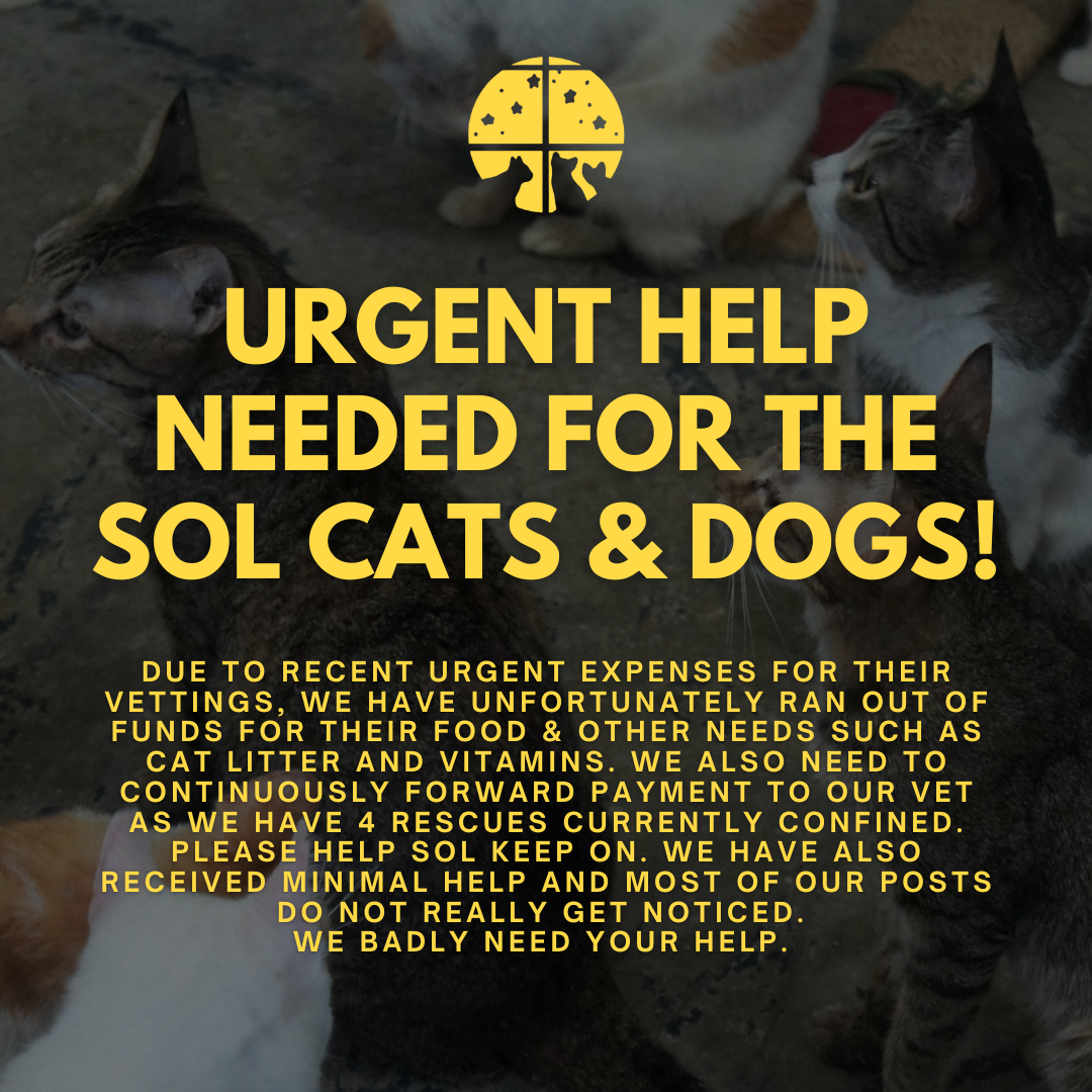 Please help our independent animal rescue keep on.