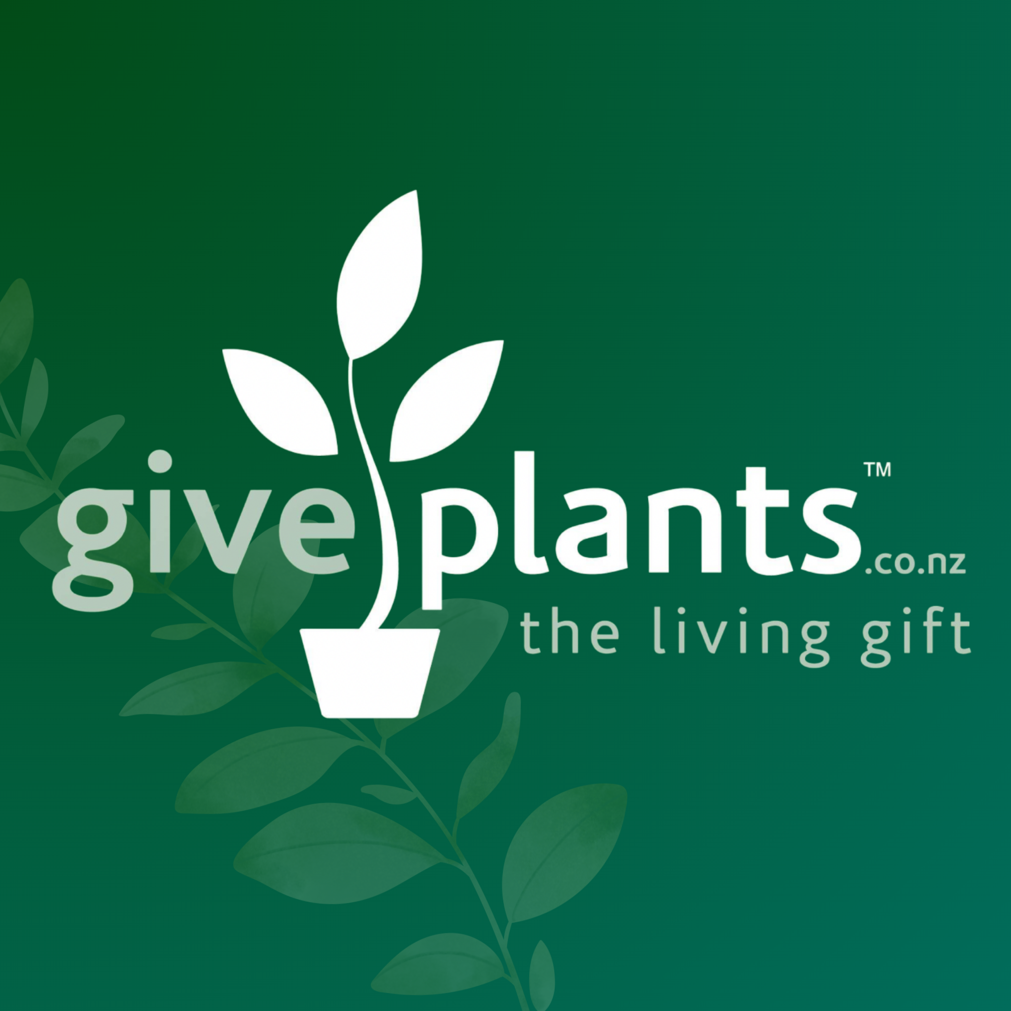 Give Plants