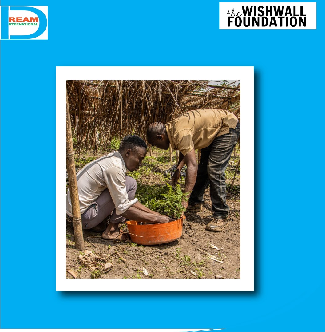 planting for biodiversity of landscapes in Rwenzori mountains