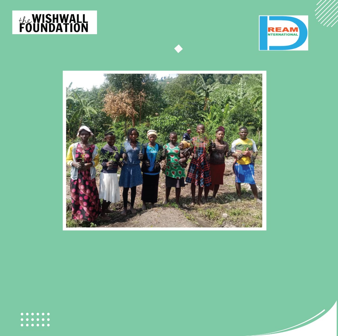 planting for biodiversity of landscapes in Rwenzori mountains