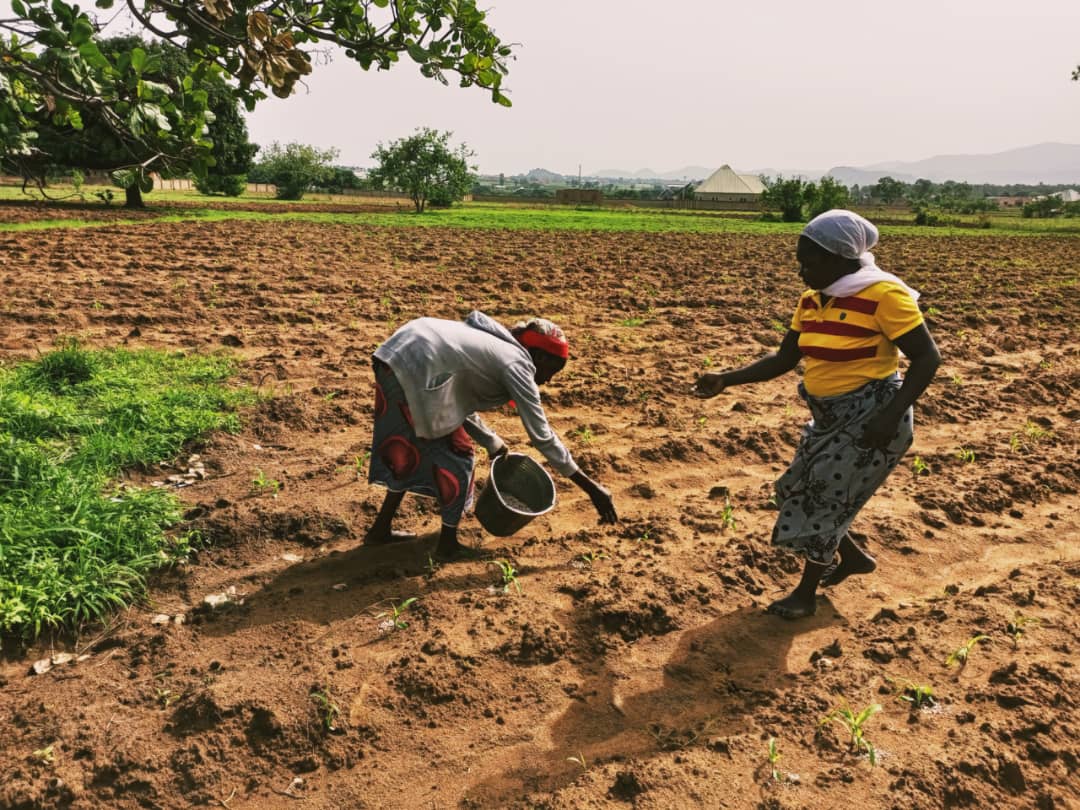 Second Phase of Project Farm2Life