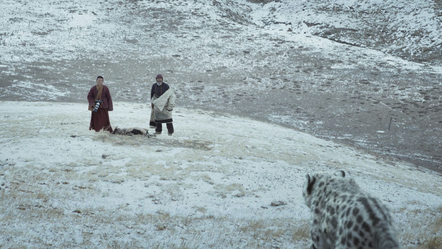 © Mani Stone Pictures