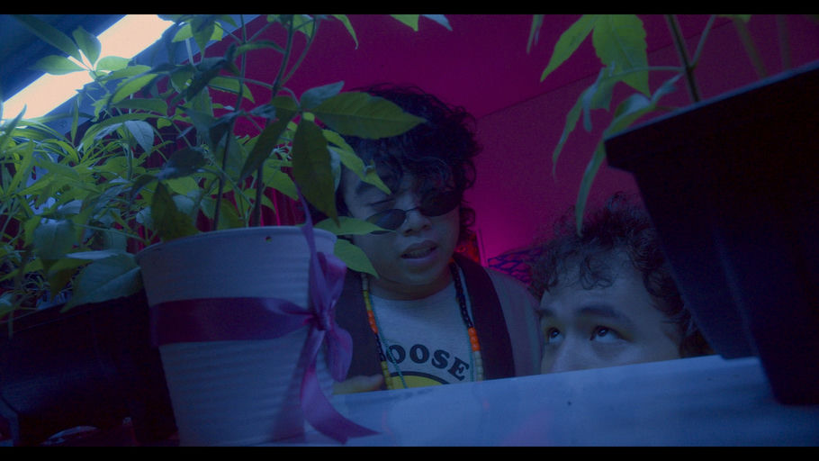 ©2023 ANIMA Studios